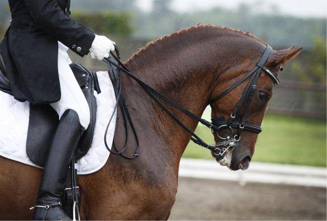 心(售楼处)售楼处电话小区配套价格周边详情容积率楼盘详情开元棋牌试玩象屿天誉蘭香(营销中心)-象屿天誉蘭香销售中(图5)