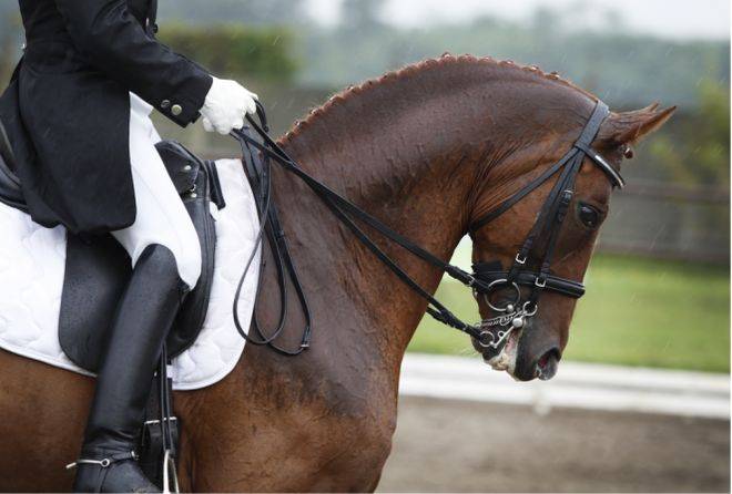 心(售楼处)售楼处电话小区配套价格周边详情容积率楼盘详情开元棋牌试玩象屿天誉蘭香(营销中心)-象屿天誉蘭香销售中(图36)